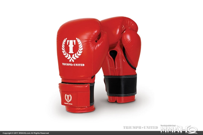 Triumph United Hook & Loop Japanese Training Gloves